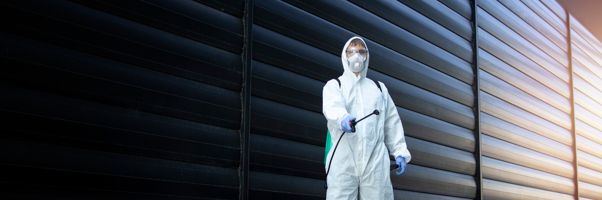 Pre-construction pest management